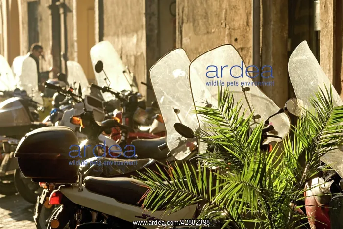 : Italy - Rome - street scene with parked mopeds in sunlight : Italy - Rome - street scene with parked mopeds in sunlight