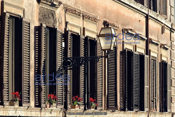 : Italy - Rome - street scene with window shutters : Italy - Rome - street scene with window shutters