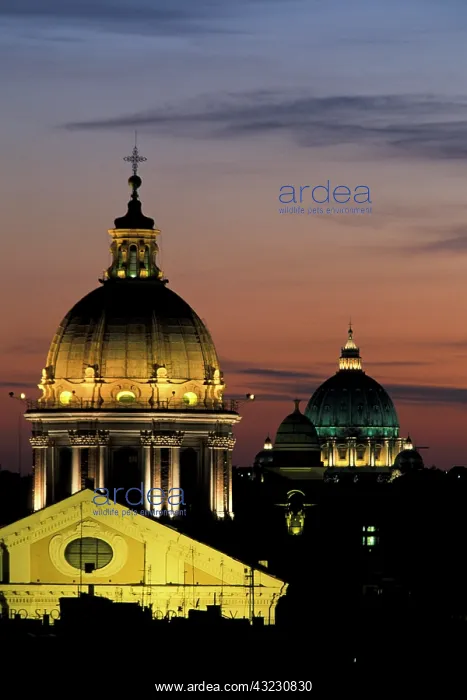 : Italy, Rome. View from atop the Spanish : Italy, Rome. View from atop the Spanish