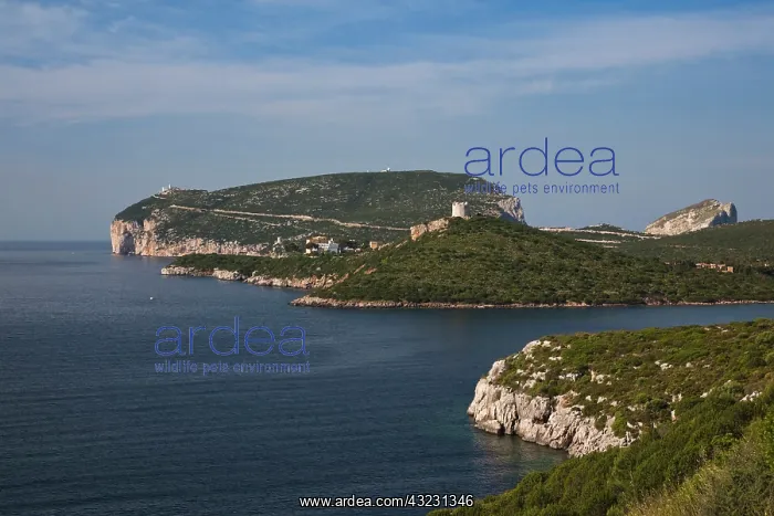 : Italy, Sardinia, Alghero. Capo Caccia : Italy, Sardinia, Alghero. Capo Caccia