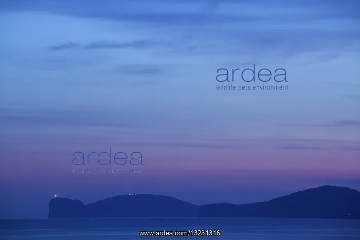 : Italy, Sardinia, Alghero. Capo Caccia cape : Italy, Sardinia, Alghero. Capo Caccia cape