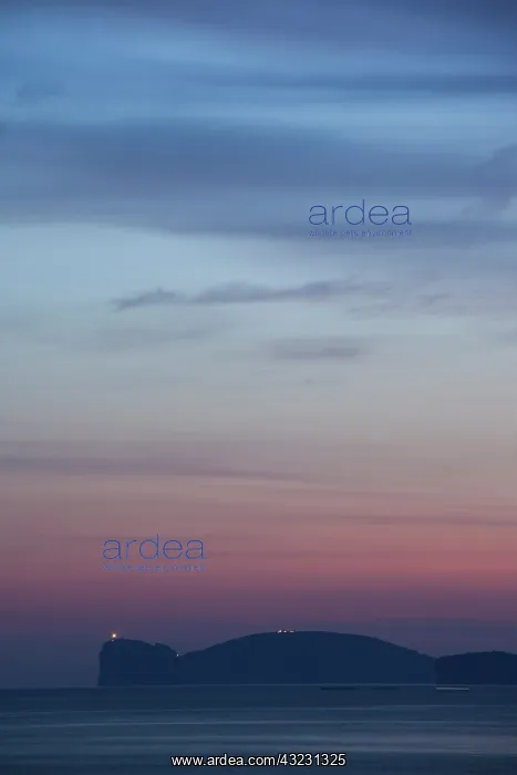 : Italy, Sardinia, Alghero. Capo Caccia cape : Italy, Sardinia, Alghero. Capo Caccia cape