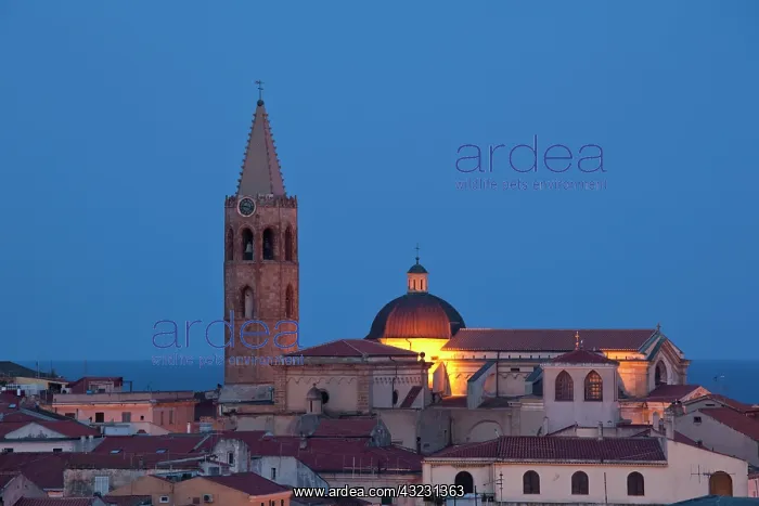 : Italy, Sardinia, Alghero. Cattedrale di : Italy, Sardinia, Alghero. Cattedrale di