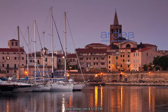  : Italy, Sardinia, Alghero. City walls from