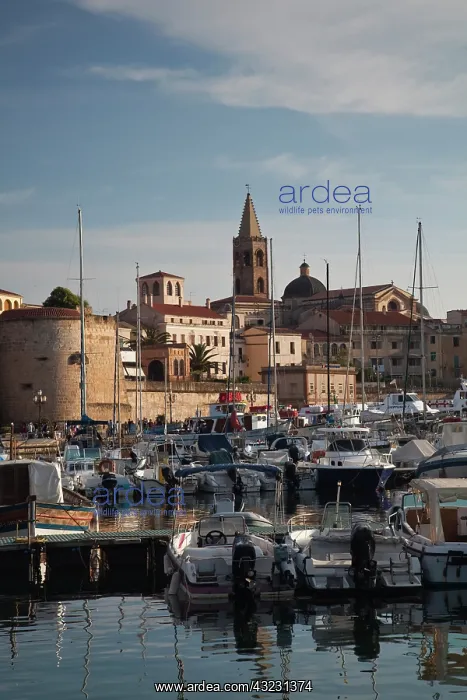 : Italy, Sardinia, Alghero. City from yacht : Italy, Sardinia, Alghero. City from yacht