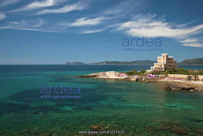 : Italy, Sardinia, Alghero. Rada di Alghero : Italy, Sardinia, Alghero. Rada di Alghero