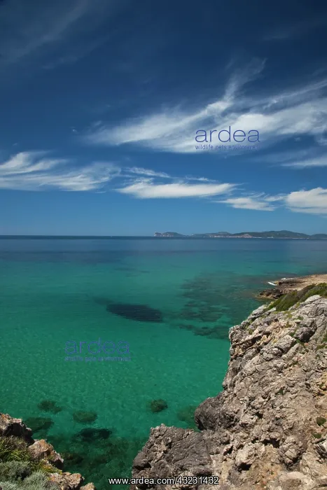 : Italy, Sardinia, Alghero. Rada di Alghero : Italy, Sardinia, Alghero. Rada di Alghero