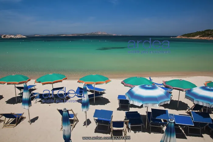: Italy, Sardinia, Baja Sardinia. Resort beach : Italy, Sardinia, Baja Sardinia. Resort beach