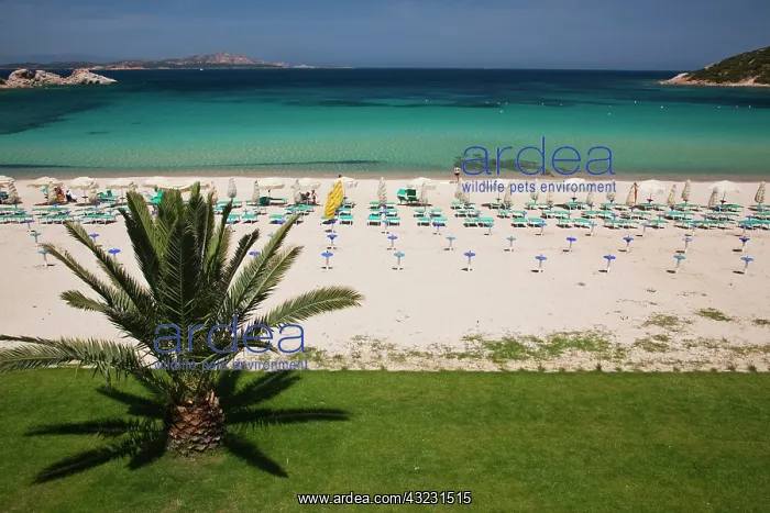 : Italy, Sardinia, Baja Sardinia. Resort beach : Italy, Sardinia, Baja Sardinia. Resort beach