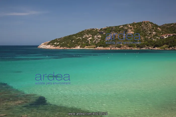 : Italy, Sardinia, Baja Sardinia. Resort beach : Italy, Sardinia, Baja Sardinia. Resort beach