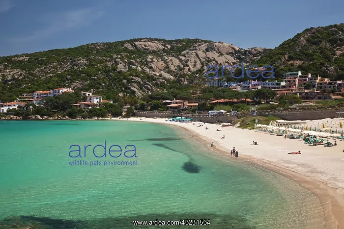: Italy, Sardinia, Baja Sardinia. Resort beach : Italy, Sardinia, Baja Sardinia. Resort beach