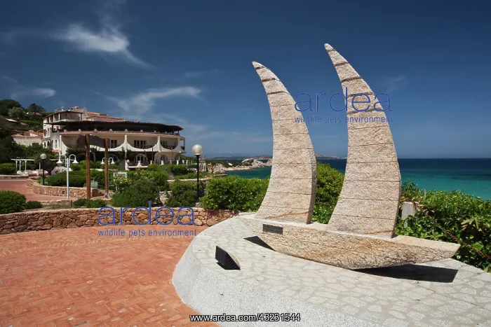 : Italy, Sardinia, Baja Sardinia. Sailboat : Italy, Sardinia, Baja Sardinia. Sailboat