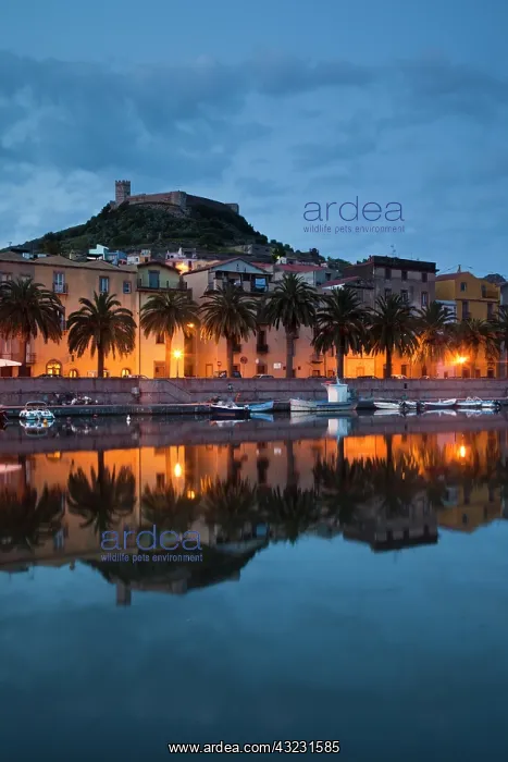 : Italy, Sardinia, Bosa. Evening along Temo : Italy, Sardinia, Bosa. Evening along Temo