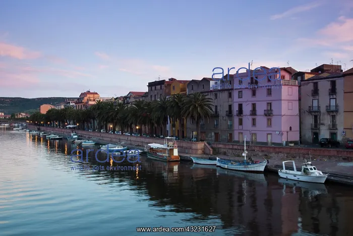 : Italy, Sardinia, Bosa. Temo River, dawn : Italy, Sardinia, Bosa. Temo River, dawn