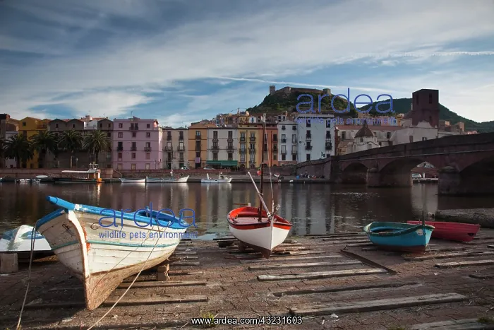 : Italy, Sardinia, Bosa. Temo River and Ponte : Italy, Sardinia, Bosa. Temo River and Ponte