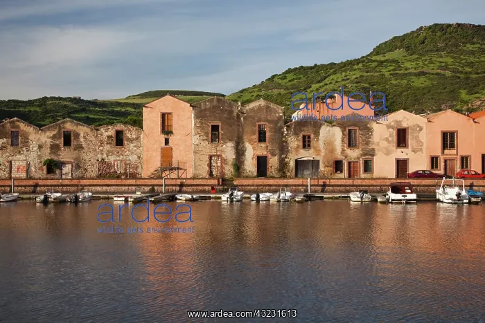 : Italy, Sardinia, Bosa. Temo River and Sas : Italy, Sardinia, Bosa. Temo River and Sas