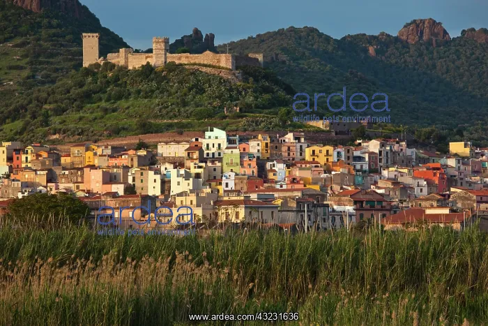  : Italy, Sardinia, Bosa. Town view with Castello