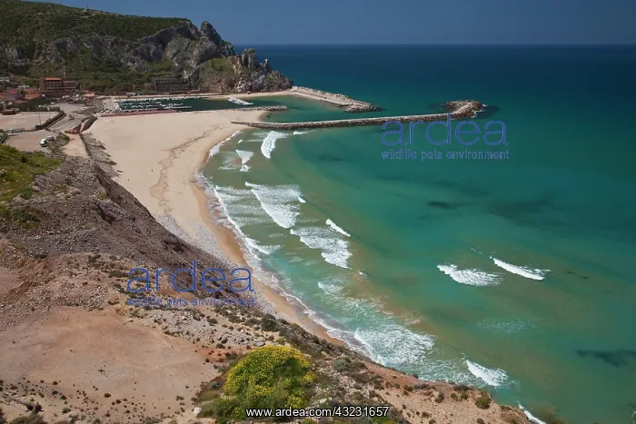 : Italy, Sardinia, Buggerru. Buggerru beach : Italy, Sardinia, Buggerru. Buggerru beach