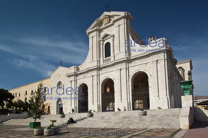 : Italy, Sardinia, Cagliari. Basilica Nostra : Italy, Sardinia, Cagliari. Basilica Nostra