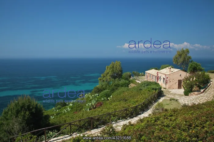 : Italy, Sardinia, Capoterra. Cliffside house : Italy, Sardinia, Capoterra. Cliffside house