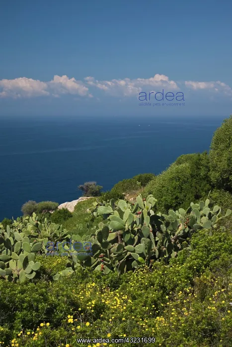 : Italy, Sardinia, Capoterra. Southeast coast : Italy, Sardinia, Capoterra. Southeast coast
