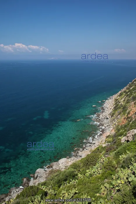 : Italy, Sardinia, Capoterra. Southeast coast : Italy, Sardinia, Capoterra. Southeast coast