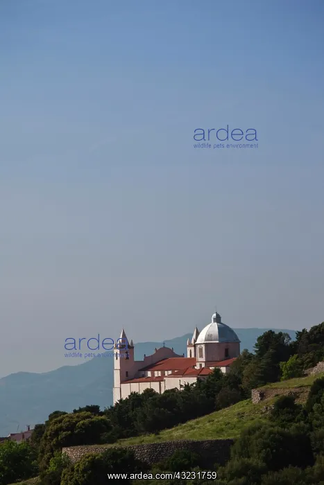 : Italy, Sardinia, Cuglieri. Church view near : Italy, Sardinia, Cuglieri. Church view near