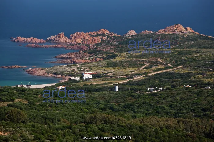 : Italy, Sardinia, Isola Rossa. Red rock coastline : Italy, Sardinia, Isola Rossa. Red rock coastline