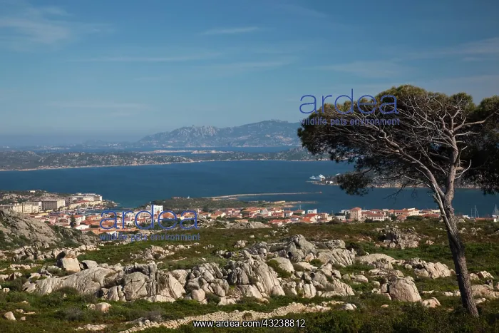 : Italy, Sardinia, La Maddalena. Aerial town : Italy, Sardinia, La Maddalena. Aerial town