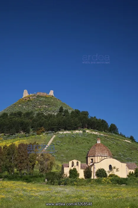 : Italy, Sardinia, Las Plassas. Castello di : Italy, Sardinia, Las Plassas. Castello di