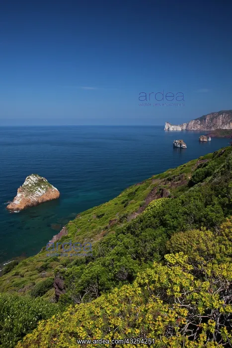 : Italy, Sardinia, Nebida. Coastline by Scoglio : Italy, Sardinia, Nebida. Coastline by Scoglio