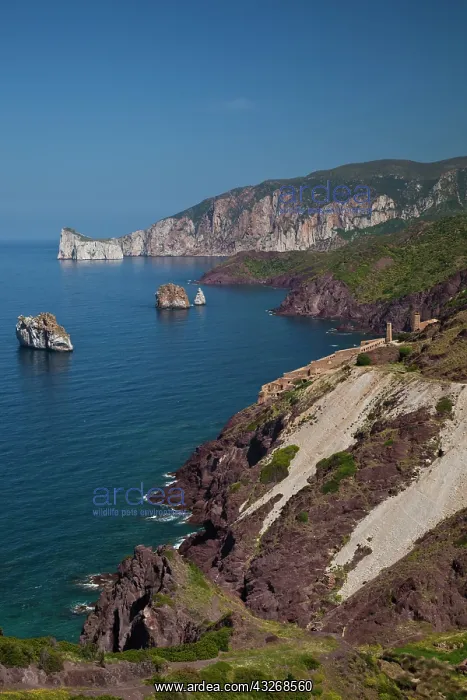: Italy, Sardinia, Nebida. Coastline by Scoglio : Italy, Sardinia, Nebida. Coastline by Scoglio