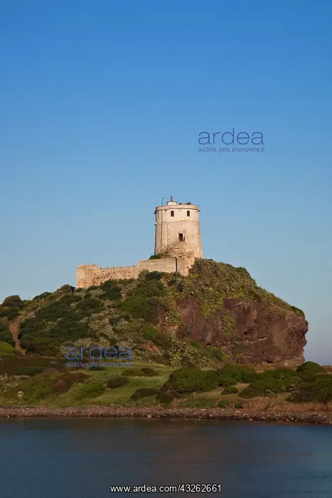: Italy, Sardinia, Nora. Spanish watchtower : Italy, Sardinia, Nora. Spanish watchtower