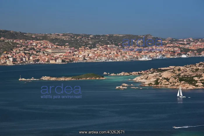: Italy, Sardinia, Palau. View of Isola Maddalena : Italy, Sardinia, Palau. View of Isola Maddalena