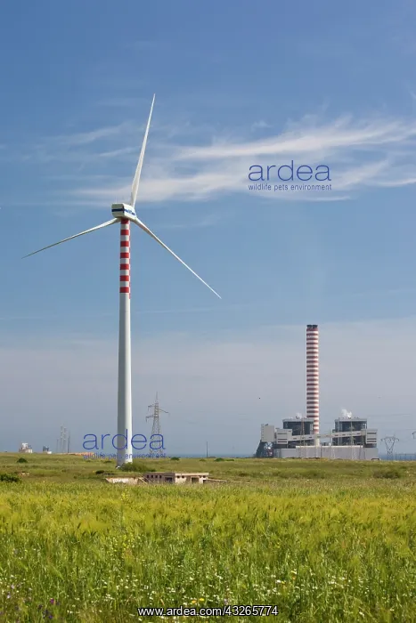 : Italy, Sardinia, Porto Torres. Wind farm : Italy, Sardinia, Porto Torres. Wind farm