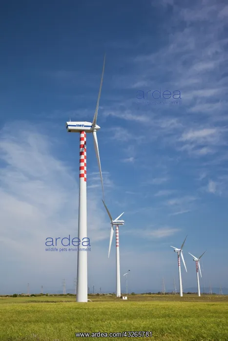  : Italy, Sardinia, Porto Torres. Wind farm