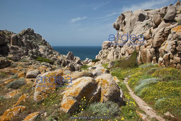 : Italy, Sardinia, Santa Teresa Gallura. Capo : Italy, Sardinia, Santa Teresa Gallura. Capo