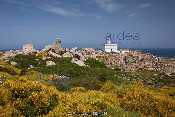  : Italy, Sardinia, Santa Teresa Gallura. Capo