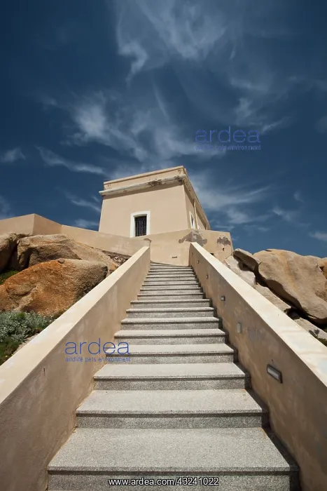 : Italy, Sardinia, Santa Teresa Gallura. Staircase : Italy, Sardinia, Santa Teresa Gallura. Staircase