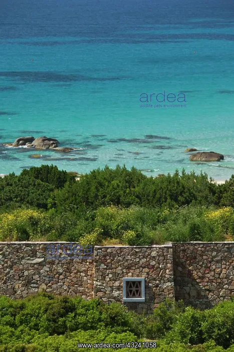 : Italy, Sardinia, Solanas. Beach : Italy, Sardinia, Solanas. Beach
