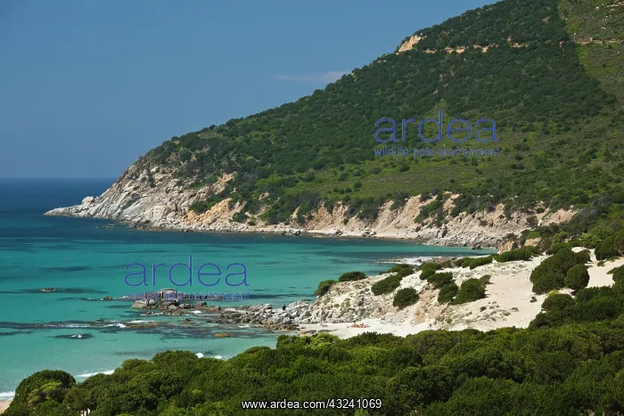 : Italy, Sardinia, Solanas. Beach : Italy, Sardinia, Solanas. Beach