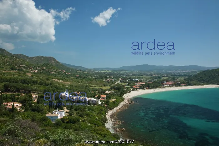 : Italy, Sardinia, Solanas. Golfo de Carbonara : Italy, Sardinia, Solanas. Golfo de Carbonara