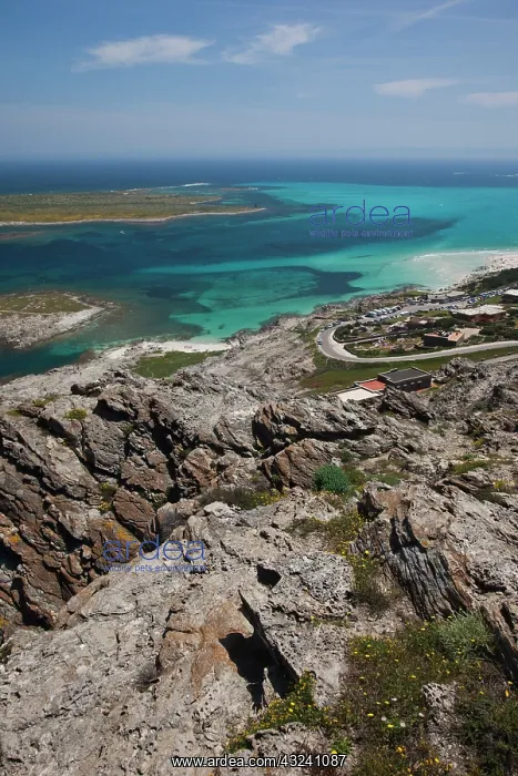  : Italy, Sardinia, Stintino. View of the Spiaggia