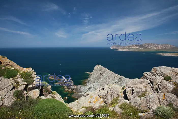 : Italy, Sardinia, Stintinto. Capo Falcone : Italy, Sardinia, Stintinto. Capo Falcone