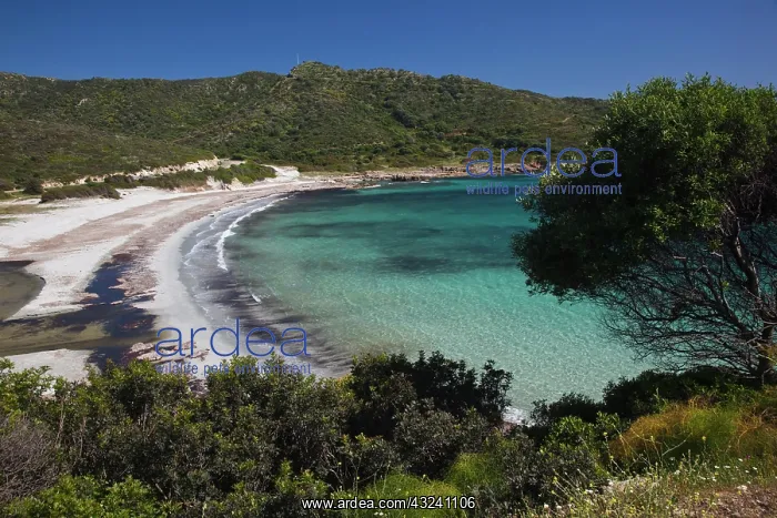 : Italy, Sardinia, Teulada. Beach : Italy, Sardinia, Teulada. Beach