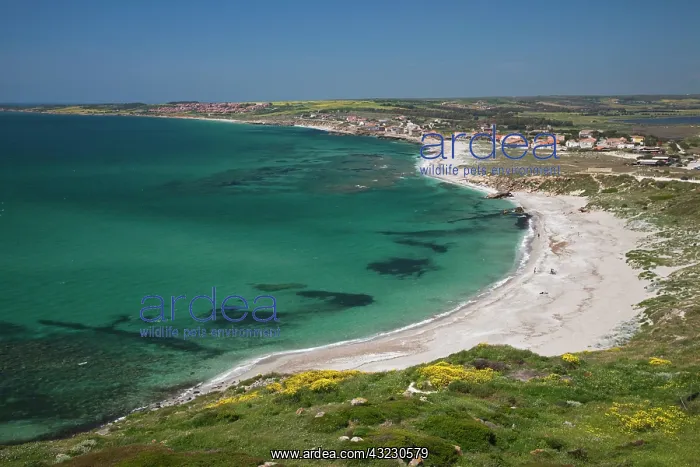 : Italy, Sardinia, Tharros. View from the : Italy, Sardinia, Tharros. View from the