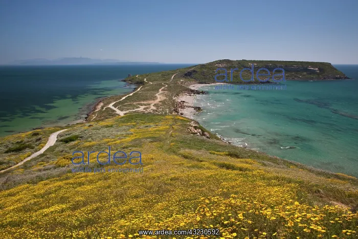: Italy, Sardinia, Tharros. View from the : Italy, Sardinia, Tharros. View from the
