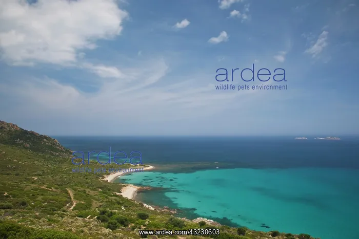 : Italy, Sardinia, Villasimius. Seascape by : Italy, Sardinia, Villasimius. Seascape by