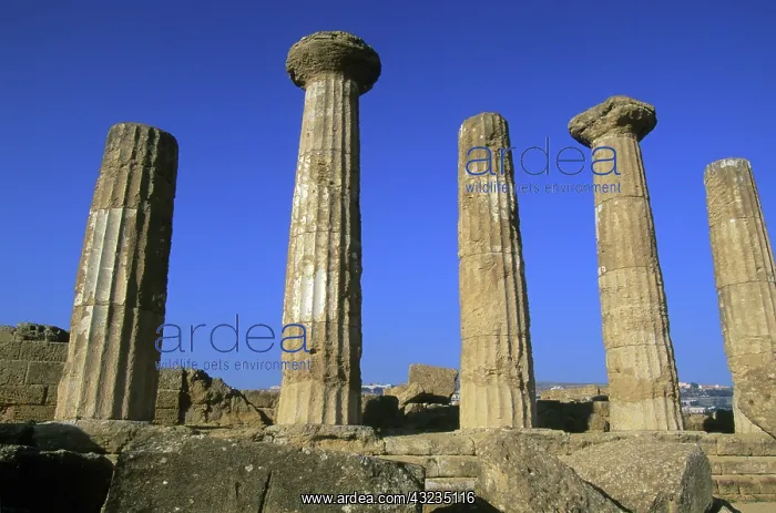 : Italy, Sicily, Agrigento, Temple of Hercules : Italy, Sicily, Agrigento, Temple of Hercules