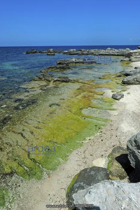 : Italy, Sicily, Egadi Islands, Favignana : Italy, Sicily, Egadi Islands, Favignana
